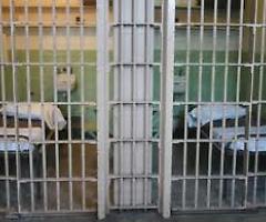Carcere, il garante: «Cala il sovraffollamento ma non l'emergenza»