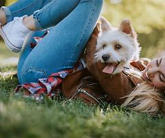 Oggi la giornata internazionale del cane: un bene di lusso per il fisco ingiusto