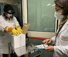 Guerra per il vaccino, il Governo si prepara a far causa anche ad AstraZeneca che dimezza le dosi promesse