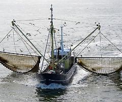 Alleanza Pesca: “La cura per il Mediterraneo non è la chiusura della pesca”