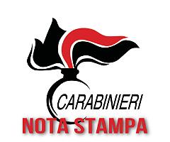 Comunicato stampa dell'Arma dei Carabinieri in relazione alla sentenza di condanna di primo grado emessa oggi dal Tribunale di Piacenza nei confronti dei militari già effettivi alla Stazione di Piacenza Levante,
