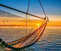 LA PESCA NON INQUINA, È UN SERVIZIO ECOSISTEMICO