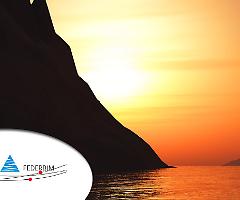 Energia, la Federbim si unisce all’appello di Next
