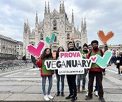 Parte "Veganuary" per risparmiare in un mese 3milioni di vite animali, 6milioni di litri di acqua, 100mila tonnellate di CO2