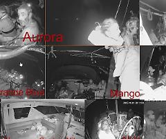 Bloccati al largo di Gaza, gli attivisti della Flotilla tra rimpatrio e detenzione