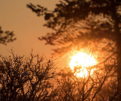 Solstizio d&rsquo;inverno, perch&eacute; il 21 dicembre il sole si "ferma"