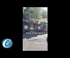 Cinghiali in pieno giorno tra i cassonetti a Roma, ecco la Capitale dei rifiuti