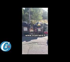 Cinghiali in pieno giorno tra i cassonetti a Roma, ecco la Capitale dei rifiuti