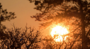 Solstizio d&rsquo;inverno, perch&eacute; il 21 dicembre il sole si "ferma"