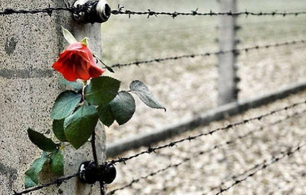 Shoah e scuola. Scalfi (Ist. Veronesi): «La memoria ci distingue dagli animali. Portare la sensibilizzazione nelle scuole»