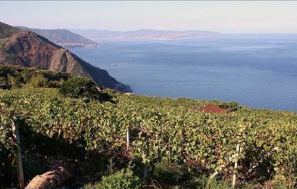 Dalla Regione Calabria un milione di euro per il vino
