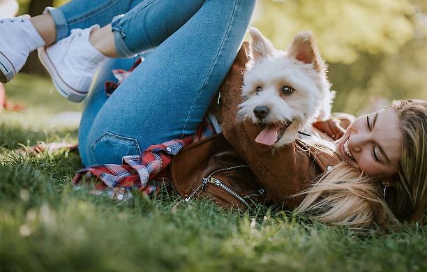 Oggi la giornata internazionale del cane: un bene di lusso per il fisco ingiusto