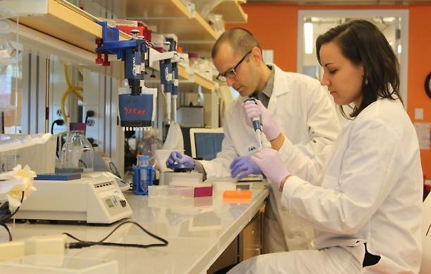 Vaccini, «Pfizer copre solo il 64% dal contagio della variante Delta»