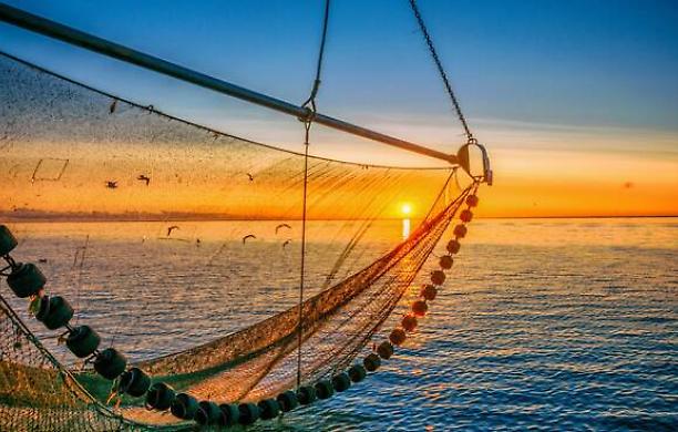 Pesca