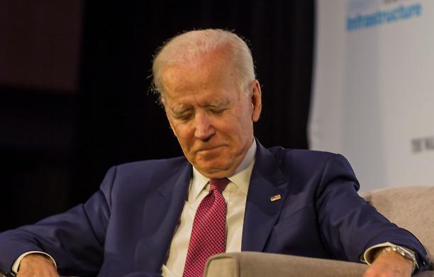 Biden, l'uomo di paglia che guida l'America 
