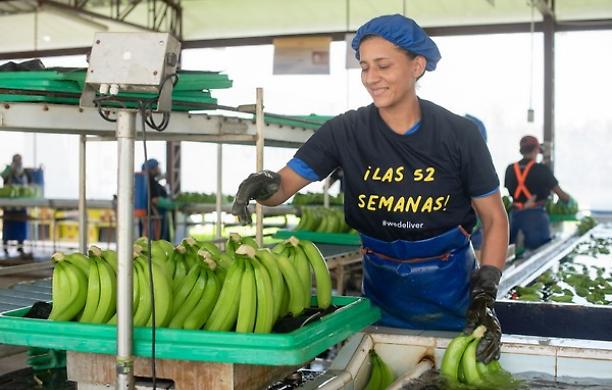 Banane, garofani e geopolitica: la Russia mette il veto sull'Ecuador
