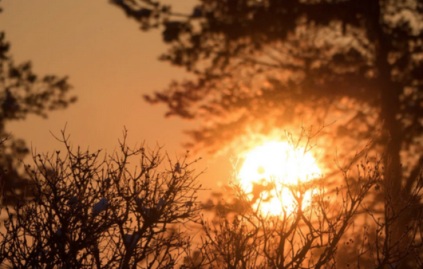 solstizio d&rsquo;inverno 2025, il giorno pi&ugrave; corto e l&rsquo;Italia tra scienza, riti e quotidiano