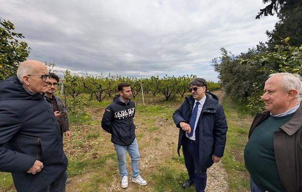 Maltempo nel Metapontino, Cicala sul posto: &ldquo;Attivati tutti gli strumenti per aiutare le aziende&rdquo;
